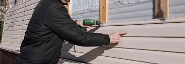 Best Siding Painting and Refinishing  in Kaneohe, HI